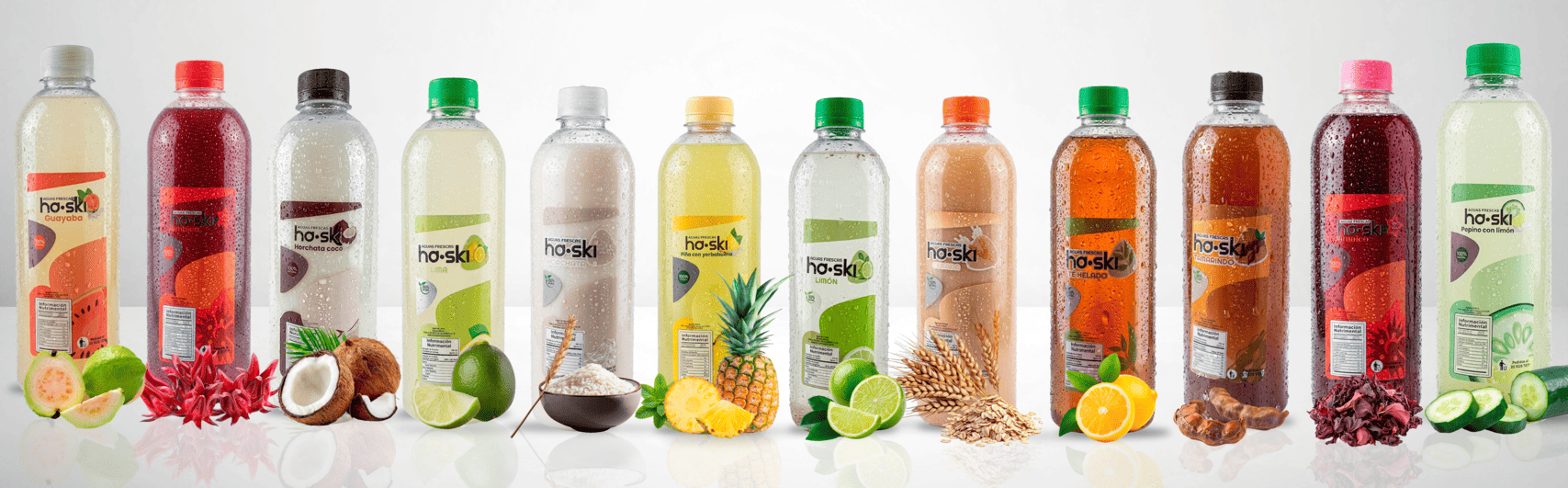 Ha Ski Cool Banner Principal